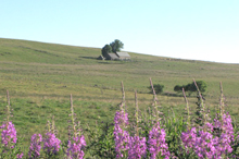 L'Aubrac