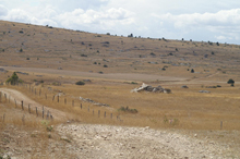 Le Causse de Sauveterre