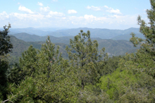 Les Cévennes
