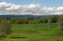 La Margeride